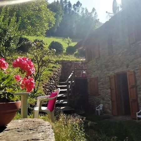 Villetta Arcobaleno - Your Mountain Holiday Casargo Exterior foto